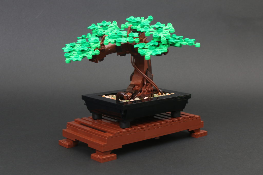 LEGO Botanical Collection 10281 Bonsai Tree review 24