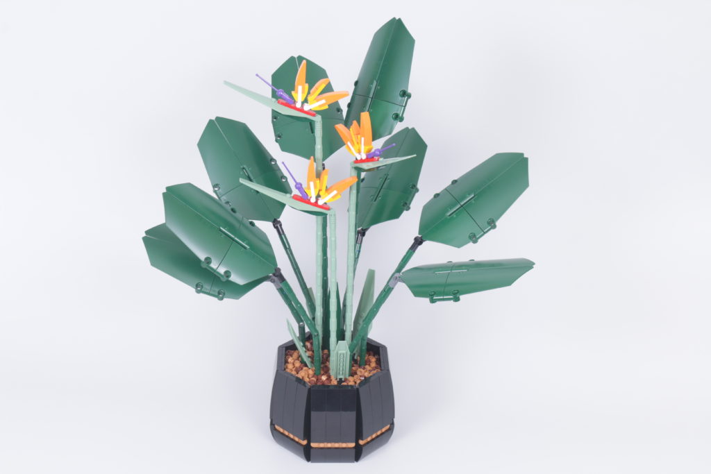 LEGO Botanical Collection 10289 Bird Of Paradise review 5