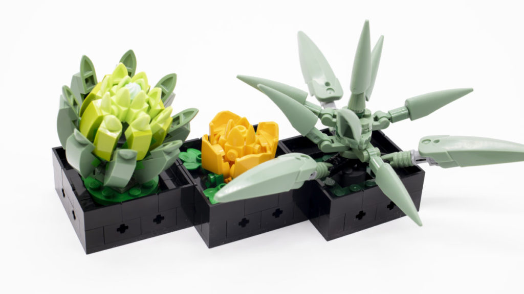 LEGO The Botanical Collection 10309 Succulents 28 1024x576