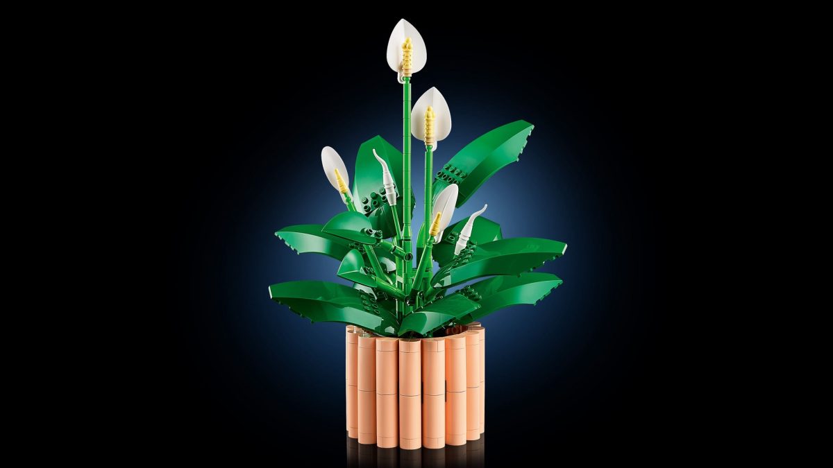 LEGO Botanicals 11504 Peace Lily 19 1200x675