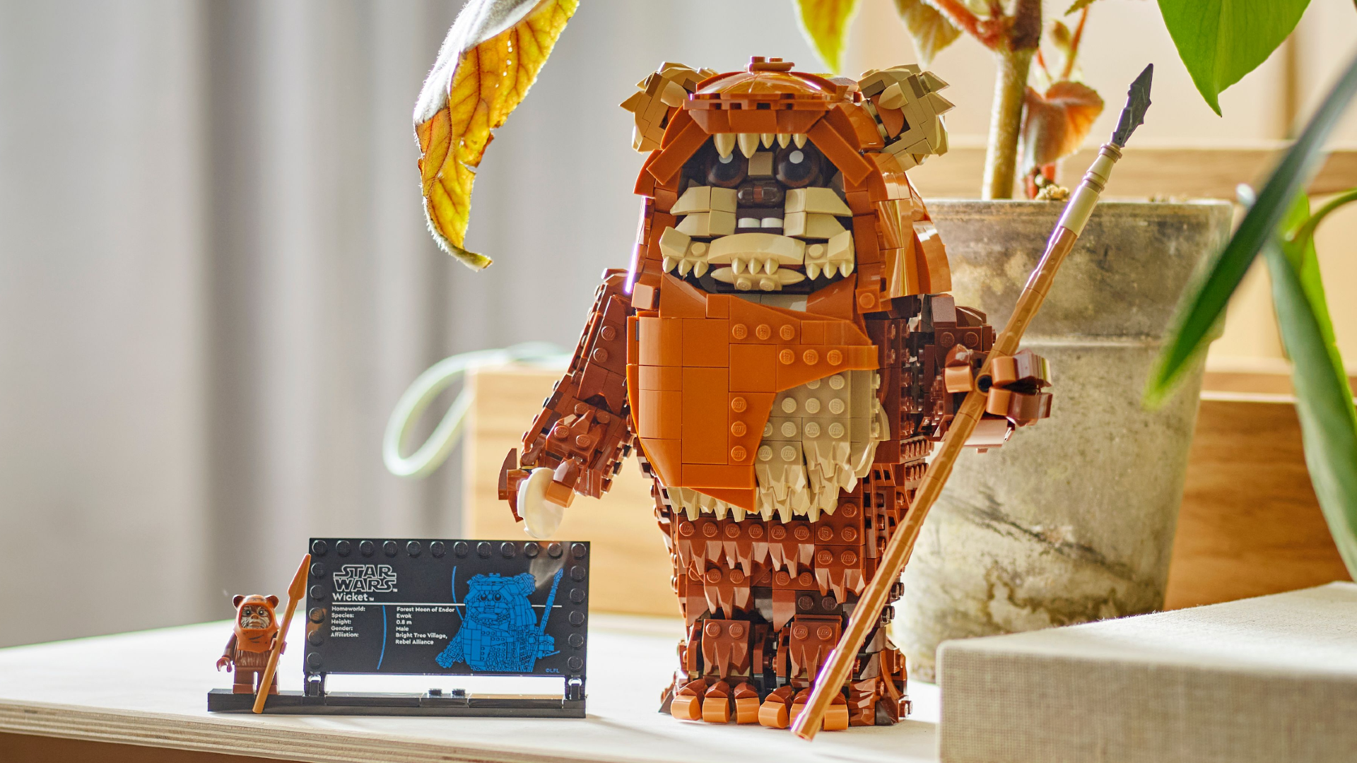 LEGO Star Wars 75430 Wicket the Ewok officially revealed